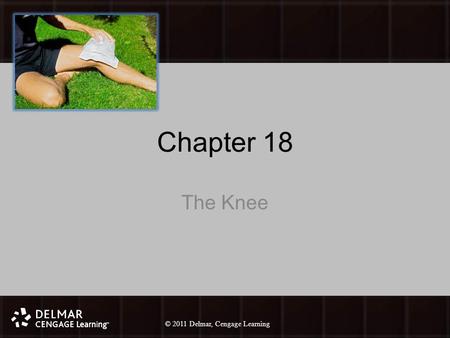 © 2010 Delmar, Cengage Learning 1 © 2011 Delmar, Cengage Learning Chapter 18 The Knee.