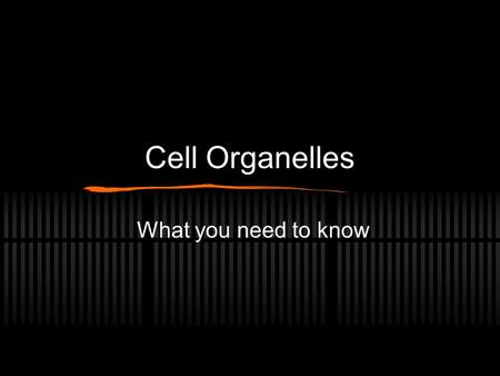 Cell Organelles What you need to know.
