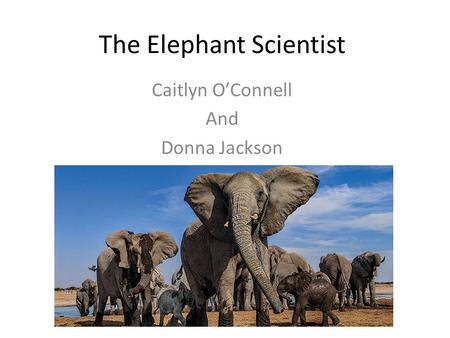 The Elephant Scientist Caitlyn O’Connell And Donna Jackson.
