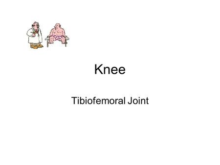 Knee Tibiofemoral Joint.