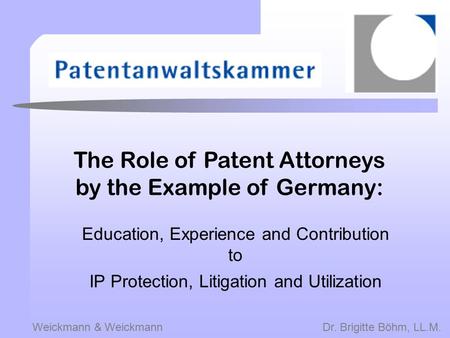 The Role of Patent Attorneys