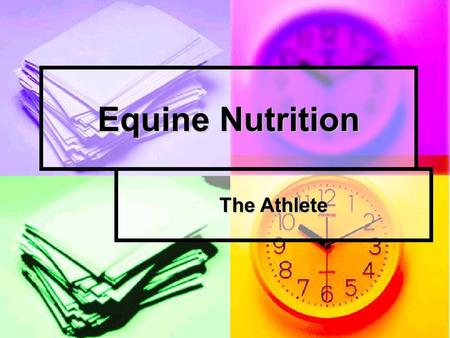 Equine Nutrition The Athlete.