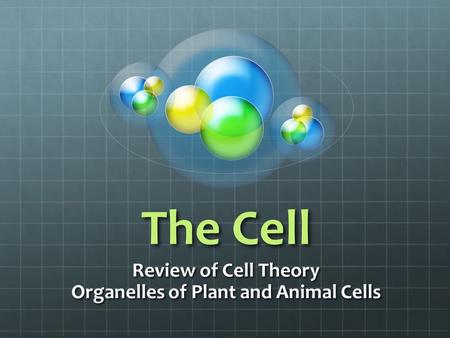 Review of Cell Theory Organelles of Plant and Animal Cells