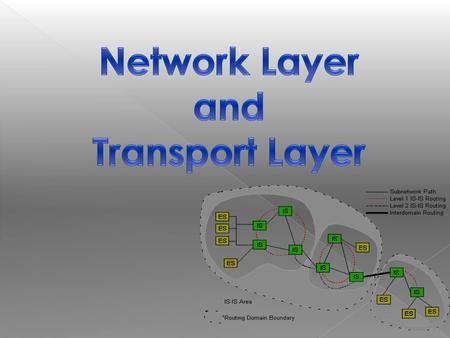 Network Layer and Transport Layer.