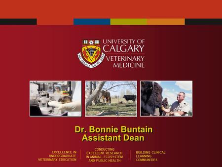 EXCELLENCE IN UNDERGRADUATE VETERINARY EDUCATION CONDUCTING EXCELLENT RESEARCH IN ANIMAL, ECOSYSTEM AND PUBLIC HEALTH BUILDING CLINICAL LEARNING COMMUNITIES.