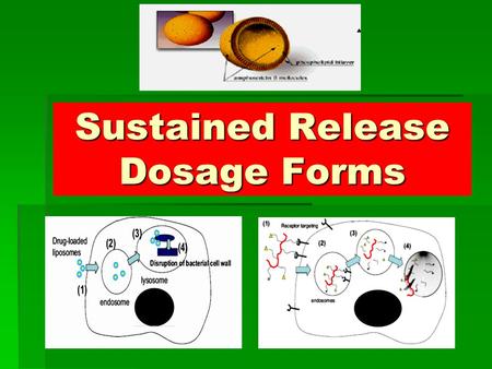 Sustained Release Dosage Forms