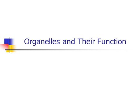 Organelles and Their Function