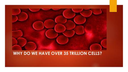 WHY DO WE HAVE OVER 35 TRILLION CELLS?. What is a cell?  Cell: Smallest unit of living matter that can carry out all processes required for life.