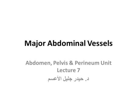 Major Abdominal Vessels