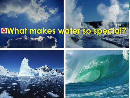 What makes water so special?