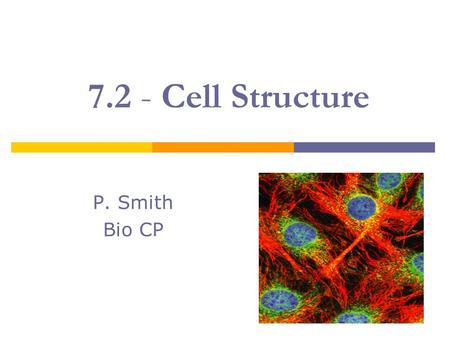 7.2 - Cell Structure P. Smith Bio CP.