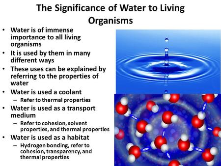 1 The Significance of Water to Living Organisms Water is of immense importance to all living organisms It is used by them in many different ways These.