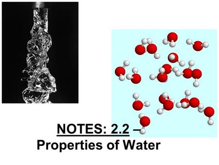 NOTES: 2.2 – Properties of Water. Water Overview… Water is perhaps the most important compound in living organisms Because so many substances can dissolve.