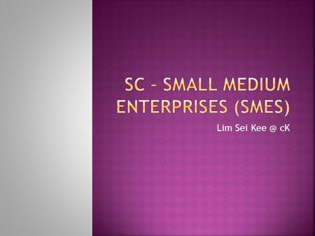 Lim Sei cK.  SME stands for Small to Medium Enterprise.  Different countries define SMEs differently.  SMALL-and medium-sized enterprises (SMEs)