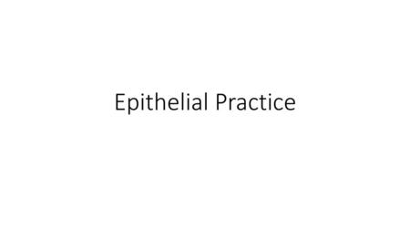 Epithelial Practice.