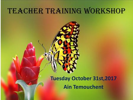 Teacher Training Workshop